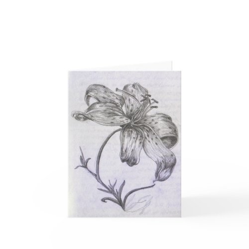 Hand-drawn Lily card