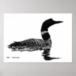 Hand drawn Loon Posters