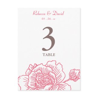 Hand drawn rose table number pink postcard