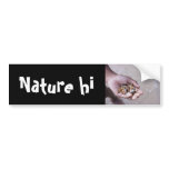 hand over the beach bumper stickers