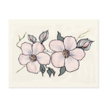 Hand Painted Blossoms Post Cards