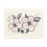 Hand Painted Blossoms Post Cards