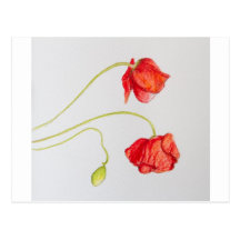 Hand painted red poppies flowers postcards