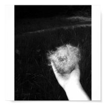 Hand with Seeds posters by ninoblader Hand with Seeds posters