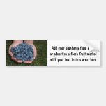 Handful of Fresh Blueberries Bumper Stickers