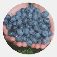 Handful of Fresh Blueberries Round Sticker