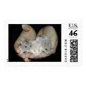 Handful of Hamsters postage by rattycorner Handful of Hamsters postage