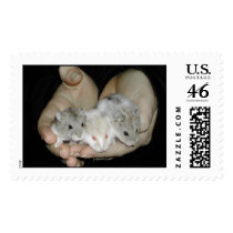 Handful of Hamsters Stamp