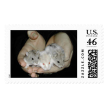 Handful of Hamsters Stamp