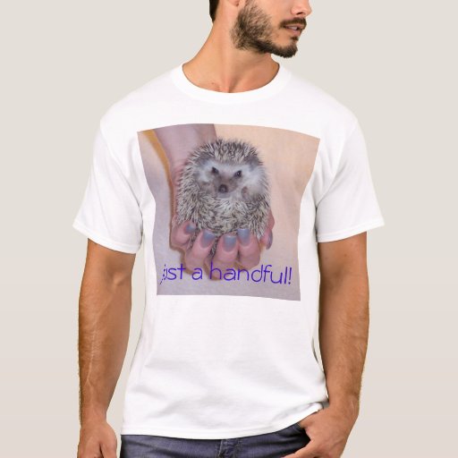Image result for zazzle hedgehog shirt