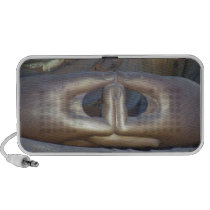 Hands of Buddha speakers