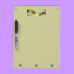 Hands of God dry erase boards