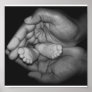 hands posters