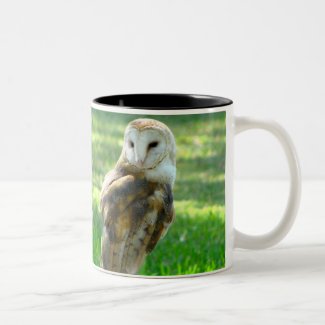 Handsome Barn Owl Mug