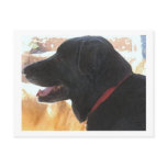 Handsome Black Lab Portrait - Ranch Dog Lover Post Card