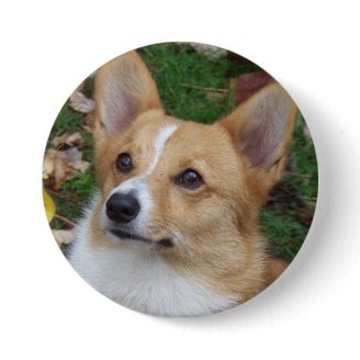 Handsome Corgi Pin