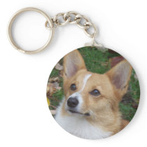 Handsome Corgi Keychains
