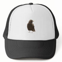 Handsome Crow hats by evisionarts Handsome Crow hats