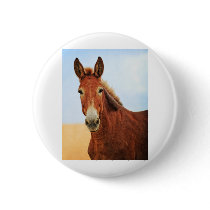 Handsome Jackass Pinback Button