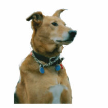 Handsome Jolly Sculpture Photo Cut Out