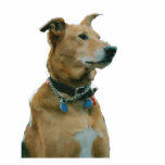 Handsome Jolly Sculpture Photo Cut Out