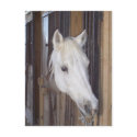 Handsome postcards by mrsmas Handsome postcards