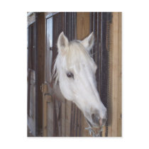 Handsome postcards by mrsmas Handsome postcards
