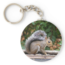 Handsome Squirrel keychains