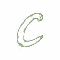 Handstitch Letter C embroidered shirts