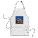 Handy Toothsome aprons