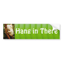 hang in there bumper sticker