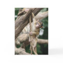 Hang in there cards by Kethram Hang in there cards