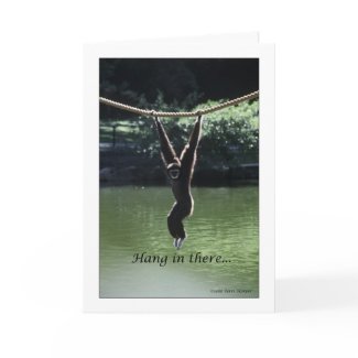 Hang In There card