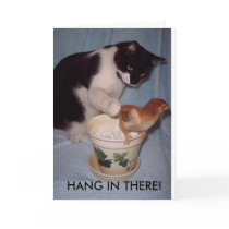 HANG IN THERE! cards