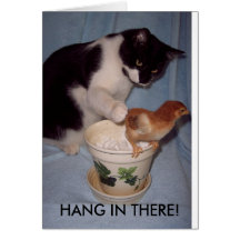 HANG IN THERE! GREETING CARD