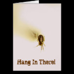 Hang in There cards