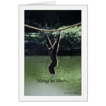 Hang In There cards