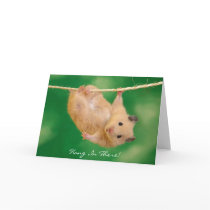 Hang In There! Hamster Cards