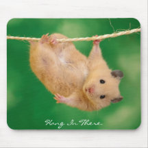 Hang in There Hamster Mouse Pads