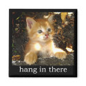 Hang In There - Kitten Magnet by gabycat Hang In There - Kitten Magnet