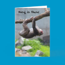 Hang in there Monkey card cards