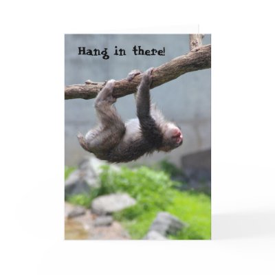 http://rlv.zcache.com/hang_in_there_monkey_card-p137195125039397366qiae_400.jpg