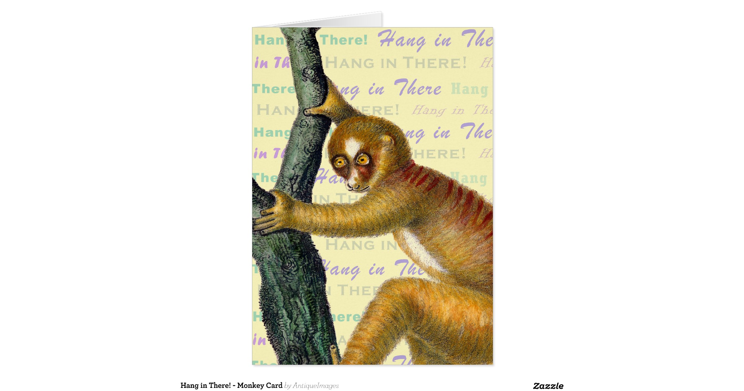 hang_in_there_monkey_card-ra19f242f7a664250b8f2457fded61af6_xvuat_8byvr ...
