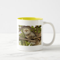 Hang in there mugs