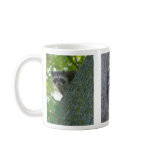 Hang In There Coffee Mugs