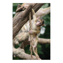 Hang in there posters
