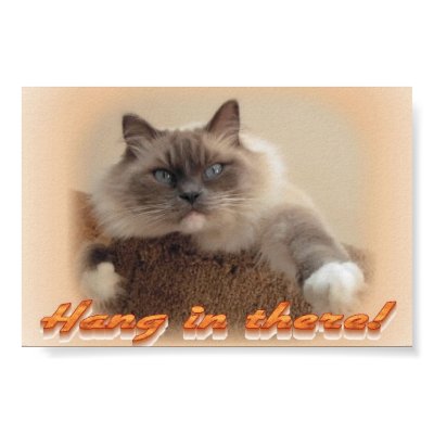 Hang in There! Poster by eDaMour