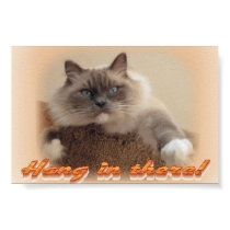Hang in There! posters