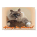Hang in There! posters by eDaMour Hang in There! posters