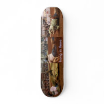 hang in there skateboard